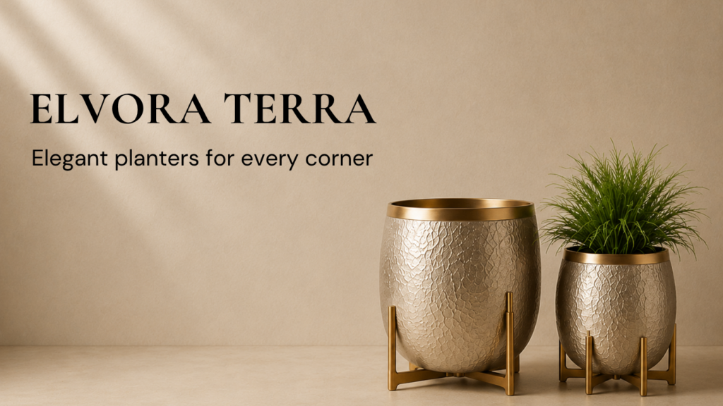 Elvora Terra 1 1024x576